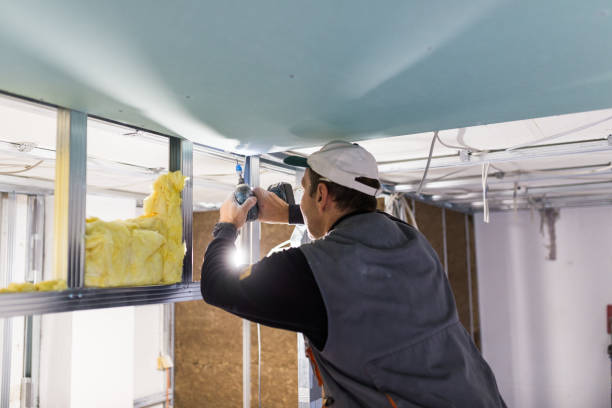Best DIY Insulation Kits and Guidance in One Loudoun, VA